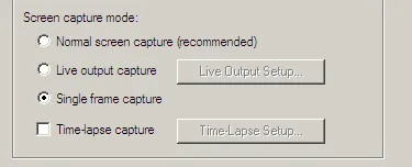 camtasia single frame recording